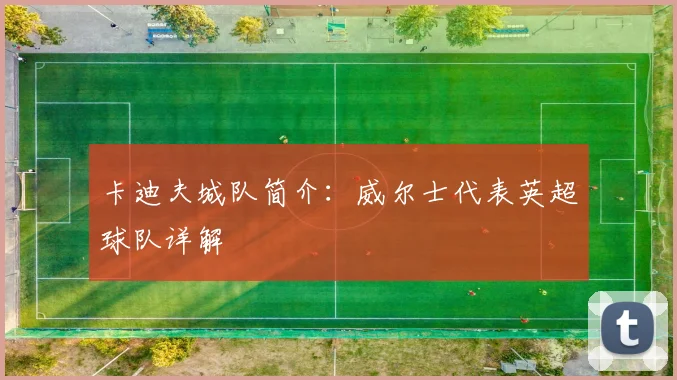 卡迪夫城队简介：威尔士代表英超球队详解
