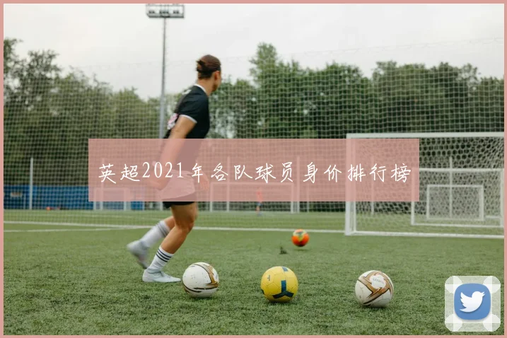 英超2021年各队球员身价排行榜