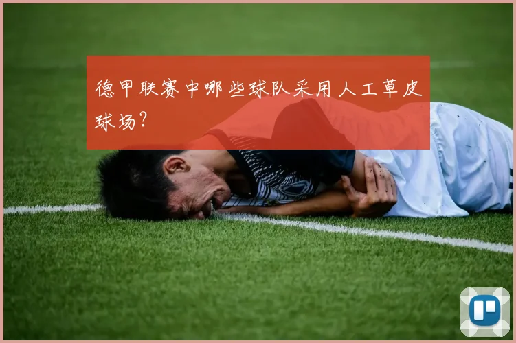 德甲联赛中哪些球队采用人工草皮球场?