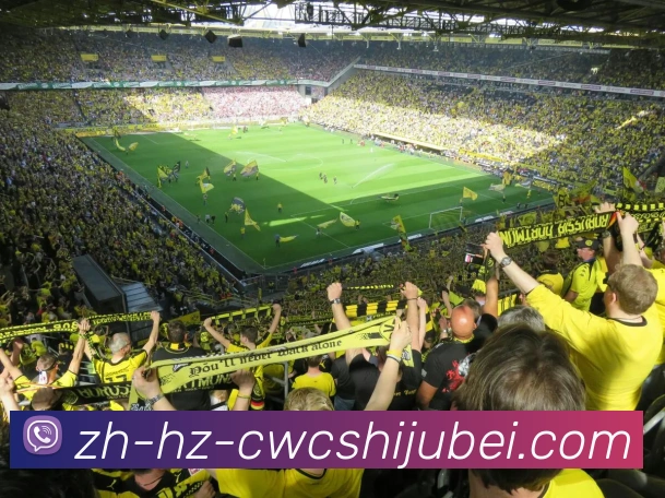 世界杯买球平台生态图