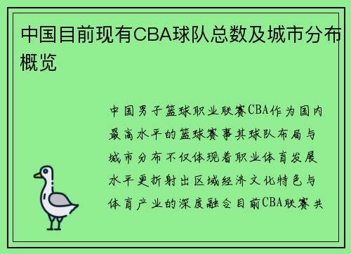 中国目前现有CBA球队总数及城市分布概览